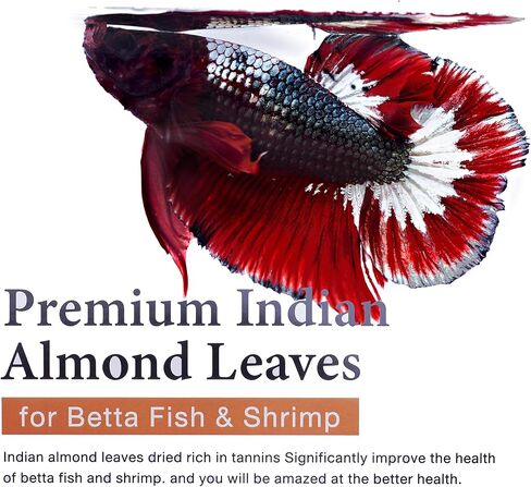 Premium Indian Almond Leaves – Water Conditioner, Benefits with Fish Fin Color Enhancement, Effective Breeding of Betta Fish & Shrimp, 8-10 Inches, 50g (20+ Leaves/Pack) in Saudi Arabia