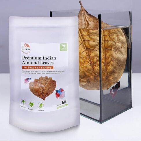 Premium Indian Almond Leaves – Water Conditioner, Benefits with Fish Fin Color Enhancement, Effective Breeding of Betta Fish & Shrimp, 8-10 Inches, 50g (20+ Leaves/Pack) in Saudi Arabia