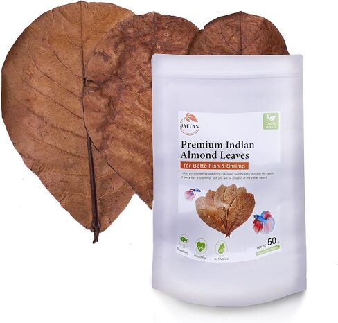 Premium Indian Almond Leaves – Water Conditioner, Benefits with Fish Fin Color Enhancement, Effective Breeding of Betta Fish & Shrimp, 8-10 Inches, 50g (20+ Leaves/Pack) in Saudi Arabia