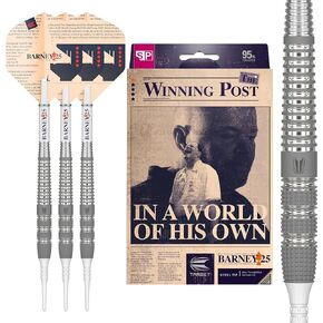 TARGET Darts Raymond Van Barneveld RVB 25 Year Edition 95% Tungsten Soft Tip Darts Set