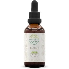 Red Root B60 Alcohol-Free Herbal Extract Tincture, Super-Concentrated (New Jersey Tea, Ceanothus Americanus) 2 fl oz