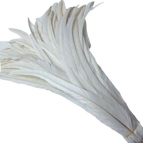 KOLIGHT Set of 50pcs 12~14inch Natural Rooster Coque Tail Feathers for DIY Home Wedding Party Office Decoration (Black)
