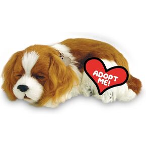 Original Petzzz Cavalier King Charles, Realistic, Lifelike Stuffed Interactive Pet Toy, Companion Pet Dog with 100% Handcrafted Synthetic Fur – Perfect Petzzz