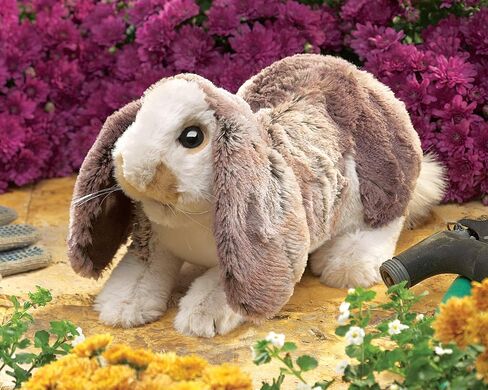 Folkmanis Baby Lop Rabbit Hand Puppet in Saudi Arabia