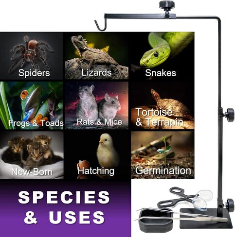 Pet Lamp Stand for Reptiles Insects and Cold Blooded Basking Animals– Adjustable Height and Reach Heat Light Hanger – Includes Feeding Accessories in Saudi Arabia