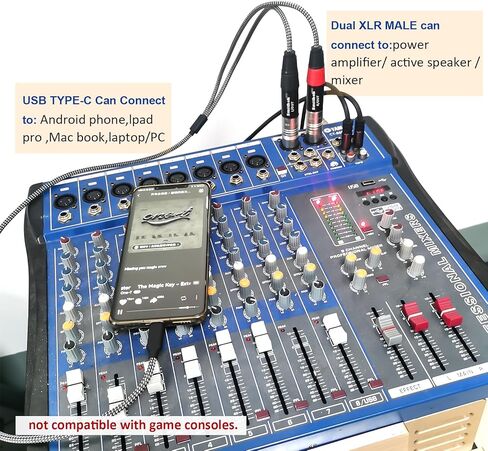 كابل مضخم طاقة ستيريو USB C إلى 2 XLR ذكر، كابل صوت USB من النوع C إلى مزدوج XLR ذكر، مكبر صوت نشط للاتصال USB C للهاتف المحمول، كابل صوت مضخم الطاقة - 3.3FT in Kuwait