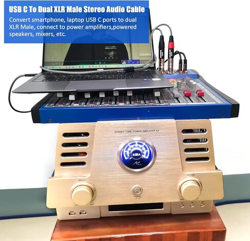 كابل مضخم طاقة ستيريو USB C إلى 2 XLR ذكر، كابل صوت USB من النوع C إلى مزدوج XLR ذكر، مكبر صوت نشط للاتصال USB C للهاتف المحمول، كابل صوت مضخم الطاقة - 3.3FT in Kuwait