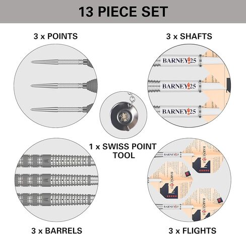 TARGET Darts Raymond Van Barneveld RVB 25 Year Edition 95% Tungsten Soft Tip Darts Set in Saudi Arabia