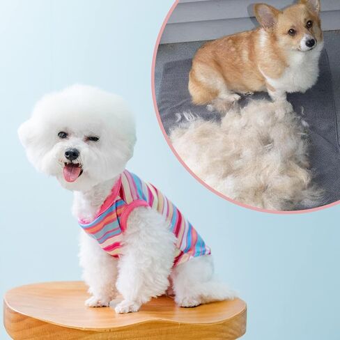 قمصان عيد الفصح للكلاب - 4 قطع سترة خفيفة الوزن للكلاب الصغيرة والمتوسطة، قمصان للحيوانات الأليفة قابلة للتنفس، ملابس ناعمة للكلاب الصغيرة والمتوسطة in Kuwait