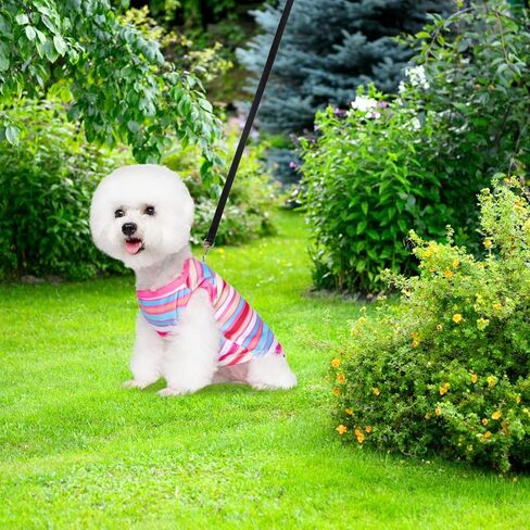 قمصان عيد الفصح للكلاب - 4 قطع سترة خفيفة الوزن للكلاب الصغيرة والمتوسطة، قمصان للحيوانات الأليفة قابلة للتنفس، ملابس ناعمة للكلاب الصغيرة والمتوسطة in Kuwait