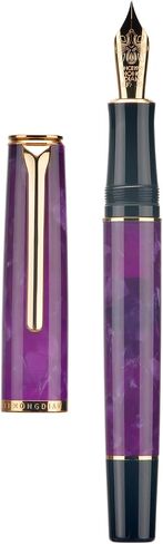 HONG DIAN N12 Piston Fountain Pen Extra Fine Soft Nib, Grass Green Acrylic & Classic Streamlined Design with Metal Case Set in Saudi Arabia