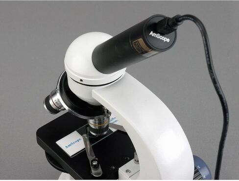 كاميرا AmScope 5.0 ميجابكسل USB ثابتة ومباشرة لتصوير الفيديو المجهري الرقمي + مجموعة المعايرة in Saudi Arabia
