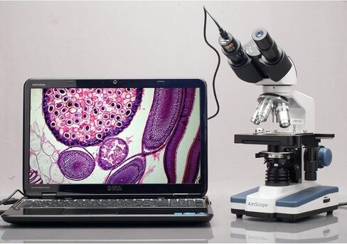 كاميرا AmScope 5.0 ميجابكسل USB ثابتة ومباشرة لتصوير الفيديو المجهري الرقمي + مجموعة المعايرة in Saudi Arabia