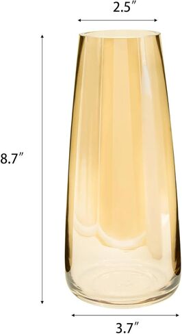 مزهريات زجاجية شفافة طويلة لديكور المنزل من الزهور مقاس 8.6 بوصة (شفاف) in Kuwait