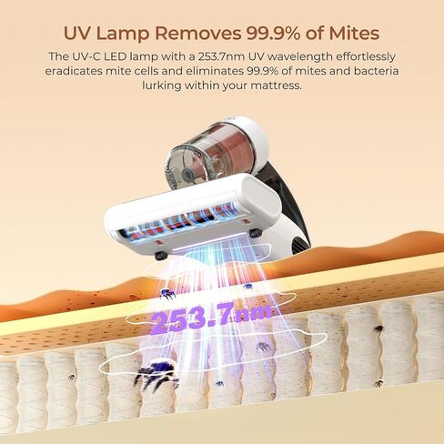 JIGOO Mattress Vacuum Cleaner : UV Bed Vacuum Cleaner 500W 13Kpa Strong Suction, High Heating Tech, Deep Cleaning Bed Vacuum for Sofa/Bed/Fabric Surface(Corded,120V) in Saudi Arabia