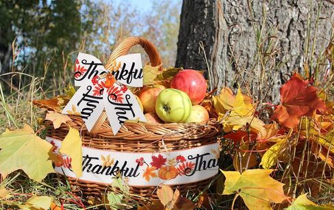 Hying 2 Rolls Fall Ribbons for Wreath Bows Wrapping Gifts, Football Party Maple Leaves Ribbon for Gift Wrapping Harvest Thanksgiving Party Decoration DIY Crafts 2.5" X 10 Yards Fall Wired Edge Ribbon in Saudi Arabia