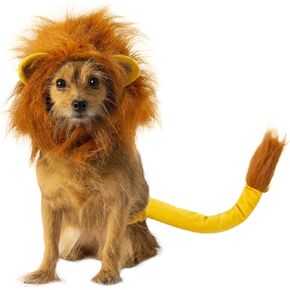 Rubie's Disney Lion King Pet Costume Accessory Set, Simba, Small/Medium