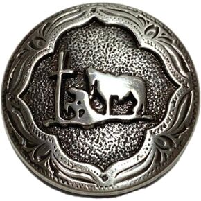 Toxic Jungle 2 Pieces 4/5 inch (21mm) Indian Head Nickel Classic Screw Post Decorative Nickel Concho, Ornament for Leathercraft Saddle/Belt/Saddle Blanket/Hats/Wallet, Antiqued Silver