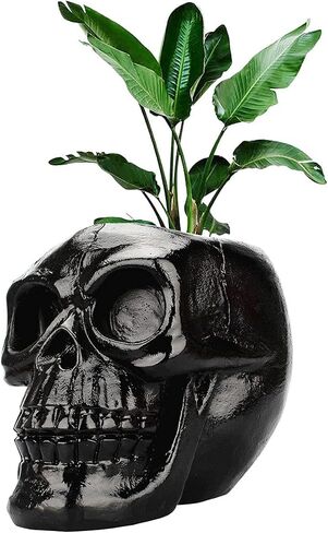 Creative Skull Head Makeup Brush Holder,Make Up Brush Case,Organizer Cosmetic Organizer,Pen Holder for Bathroom,Dressing room,Desk,Dorm (Black) in Saudi Arabia