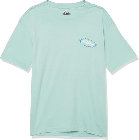 Quiksilver Boy's Vision Short Sleeve Tee Shirt, Pastel Turquoise 233 in Saudi Arabia