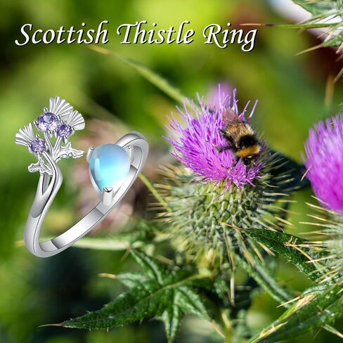 YAFEINI Scottish Thistle Ring Sterling Silver Scotland Ring Scottish Thistle Jewelry Gifts for Women in Saudi Arabia