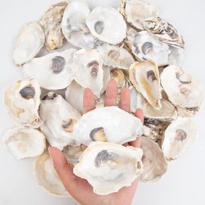 30PCS Oyster Shells 3"-4" Medium Oyster Shells for Crafts Natural Oyster Shells Bulk, for Home Vase Filler, Xmas Ornaments, DIY Arts and Crafts Sea Shells