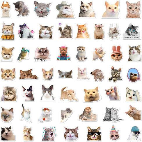 50 PCS Animals Wearing Clothes Stickers Kawaii Waterproof Vinyl Decal for Journaling Laptop Scrapbook Water Bottles Phone Caps Luggage for Adults Teens Kids Womens in Kuwait