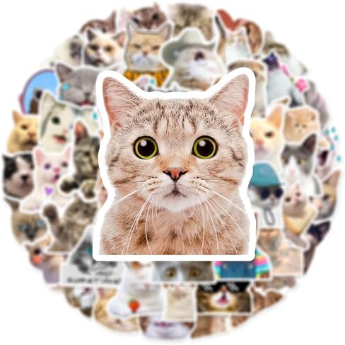 50 PCS Animals Wearing Clothes Stickers Kawaii Waterproof Vinyl Decal for Journaling Laptop Scrapbook Water Bottles Phone Caps Luggage for Adults Teens Kids Womens in Kuwait