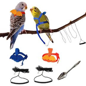 Bird Harness for Parrot, 2Pcs Bird Leash for Parrots, Parakeet Leash for Outdoor Activities Training, Bird Flying Harness, Parrot Flight Harness, can‘t Birds Weighing Less Than 37 Grams