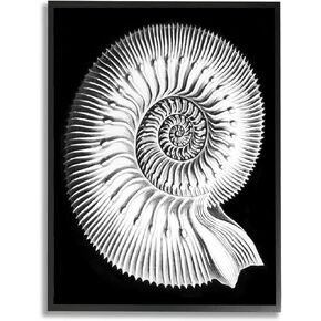 Stupell Industries Spiral Sea Life Beach Shell Modern Fractal, Design by Graffitee Studios, Black Framed, 11 x 14
