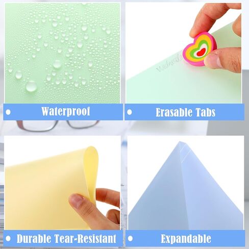 100 Pcs Plastic Manila File Folders Letter Size Waterproof 5 Colored 1/3 Cut Tabs Folders with Sticky Labels Plastic Folders 11.6 x 9 Inch File Folders for School Office in Saudi Arabia