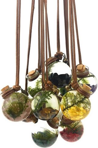 الزبرجد الزيتوني - قلادة حوض السمك المصغر الحية - قلادة Terrarium Ecosphere | مجوهرات النباتات الحية in Saudi Arabia