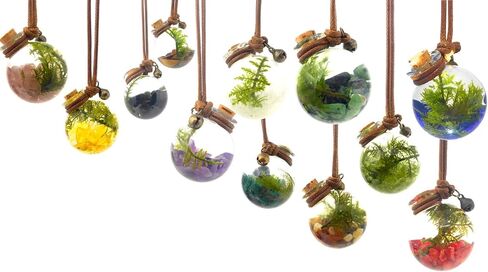 الزبرجد الزيتوني - قلادة حوض السمك المصغر الحية - قلادة Terrarium Ecosphere | مجوهرات النباتات الحية in Saudi Arabia