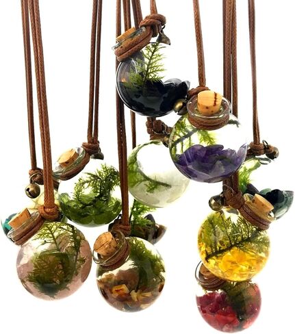الزبرجد الزيتوني - قلادة حوض السمك المصغر الحية - قلادة Terrarium Ecosphere | مجوهرات النباتات الحية in Saudi Arabia