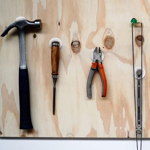 مغناطيسات قوية مع فتحات، مغناطيسات أرضية نادرة شديدة التحمل مع برغي، مغناطيسات أكواب ذات فتحات غاطسة لورشة التركيب على الحائط، مغناطيس نيوديميوم صغير بقاعدة مستديرة 0.79 بوصة عمق × 0.24 بوصة ارتفاع، عبوة من 6 قطع in Kuwait