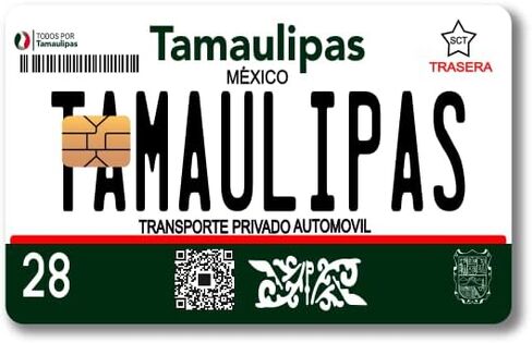 Mexico Placas - Mexican License Plate - Credit Card Skin Vinyl Sticker (2 Piece) (Jalisco) in Saudi Arabia