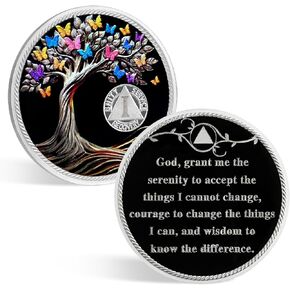 2 Year Sobriety Coin Tree of Life Sobriety Chip AA Recovery Medallions Two Year Sobriety Gifts for Men Women Sober Affirmation Token Alcoholics Anonymous Gift with Capsule, Display & Card