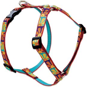 LupinePet Originals 3/4" Crazy Daisy 20-32" Adjustable Roman Dog Harness for Medium Dogs