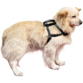 Dog Harness for Large Dogs, No Pull Dog Harness with 2 Adjustable Points & 1 Leash Clip, Reflective Comfortable Dog Vest with Easy Control Handle Ideal for Walking and Training, Purple,L