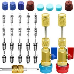 31Pcs R134A Valve Core Remover Installer Tool Kit, High Low Pressure Valve Core Quick Removal Tool Comes with AC Service Port Cap R134A Valve Core Valve Stem for Refrigerant Air Conditioner System