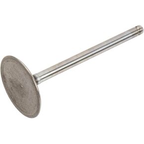 GM Genuine Parts 12563063 Engine Intake Valve