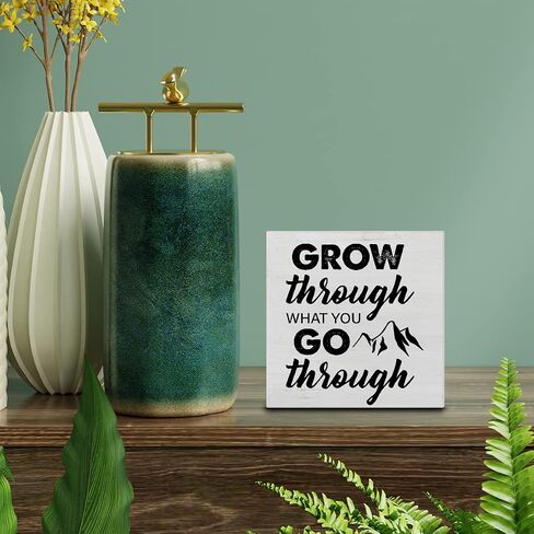 Inspiration Grow Quote Wood Box Sign Decor Desk Sign Grow Through What You Go Through Wooden Box Block Sign Rustic Home Office Shelf Wall Decoration in Saudi Arabia