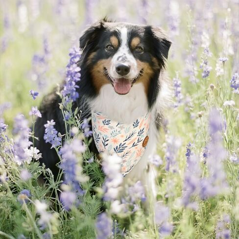 CROWNED BEAUTY Spring Dog Bandanas Reversible Large 2 Pack, Blossom Elegance Set, Floral Plaid Adjustable Triangle Holiday Scarves for Medium Large Extra Large Dogs Pets DB109-L in Saudi Arabia