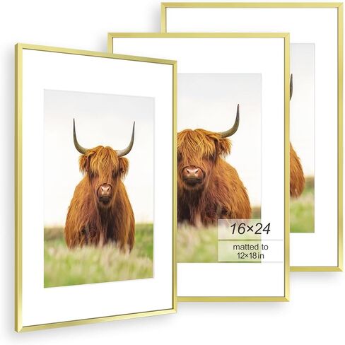 Golden State Art, 11x14 Picture Frame Set of 3, Black Thin Border Photo Frame, Display Pictures 8x10 with Mat or 11x14 Without Mat, Black Frame for Wall Hanging Horizontal and Vertical in Saudi Arabia