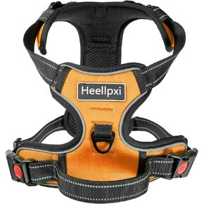 No Pull Dog Harness with A Free Heavy Duty 5FT Dog Leash, Adjustable Soft Padded Dog Vest with Easy-Control Handle, Reflective No-Choke Pet Oxford Vest for Small Dogs (Blue,S)