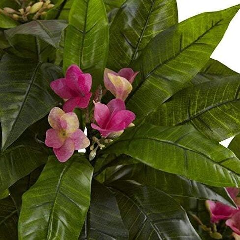 Nearly Natural, Green, 5394 5ft. Plumeria Tree UV Resistant (Indoor/Outdoor), 60.5" x 12.5" x 9.75" in Saudi Arabia