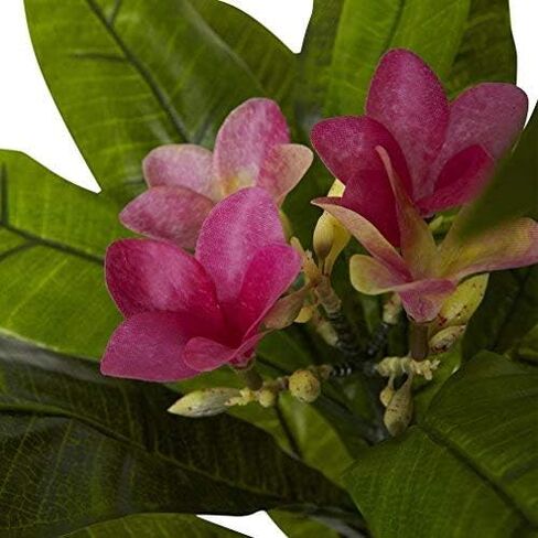Nearly Natural, Green, 5394 5ft. Plumeria Tree UV Resistant (Indoor/Outdoor), 60.5" x 12.5" x 9.75" in Saudi Arabia