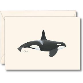 Earth Sky + Water - Orca Notecard Set - 8 Blank Cards with Envelopes