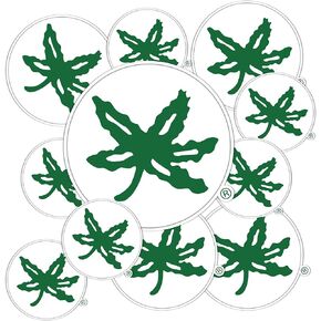 Desert Cactus The Ohio State University Sticker OSU Buckeyes Stickers Vinyl Decals Laptop Water Bottle Car Scrapbook T3 (Type 3-5)