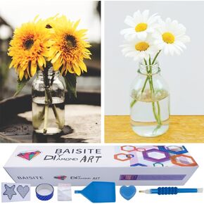 BAISITE Diamond Art Kits for Adults Beginners,2 Pack Round 5D Paint with Diamonds Pictures Full Drill Cross Stitch Home Wall Decor DIY Crafts Kits(12x16 Inches) BSTDP001-002